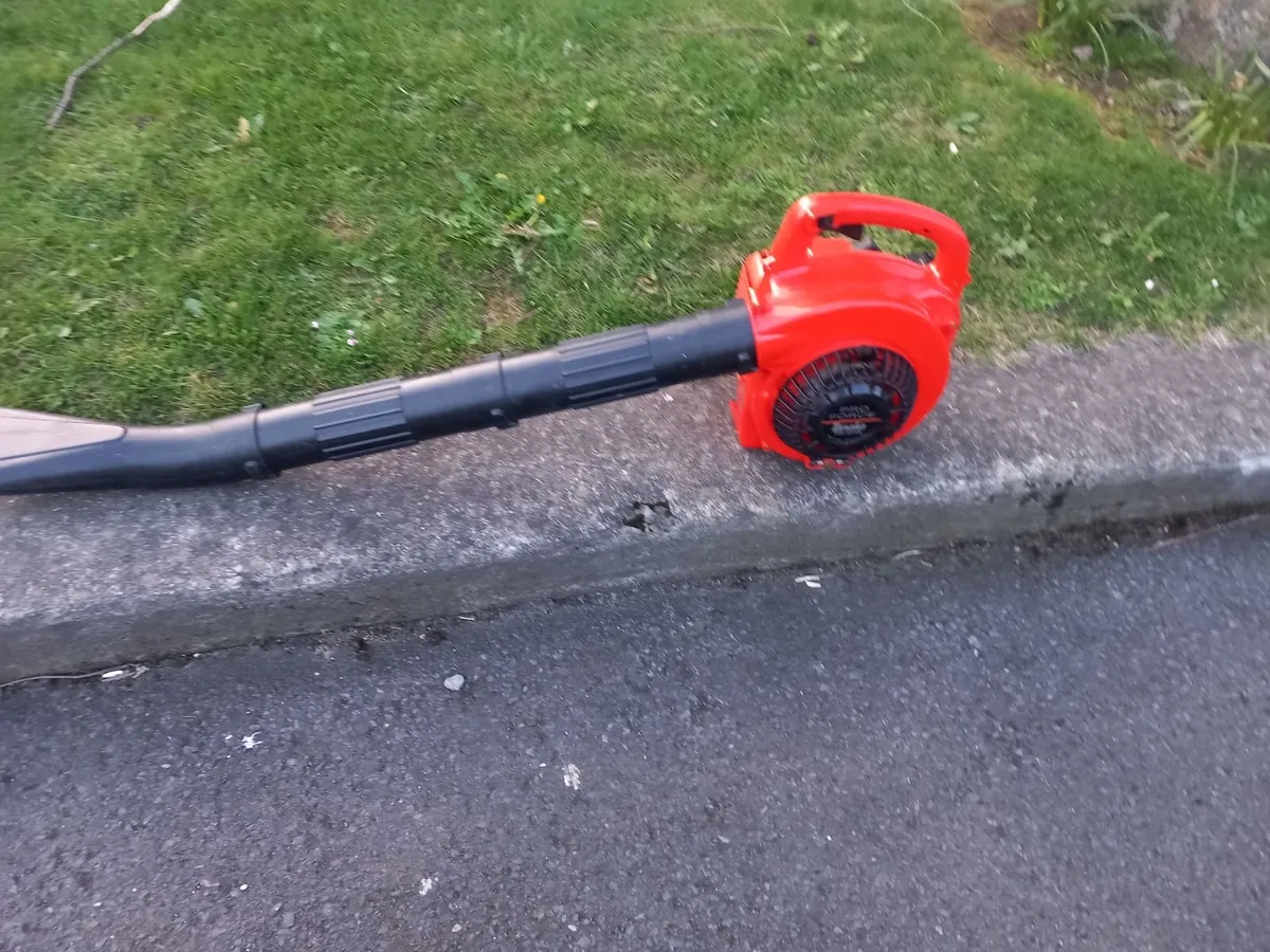 Blower - Image 2
