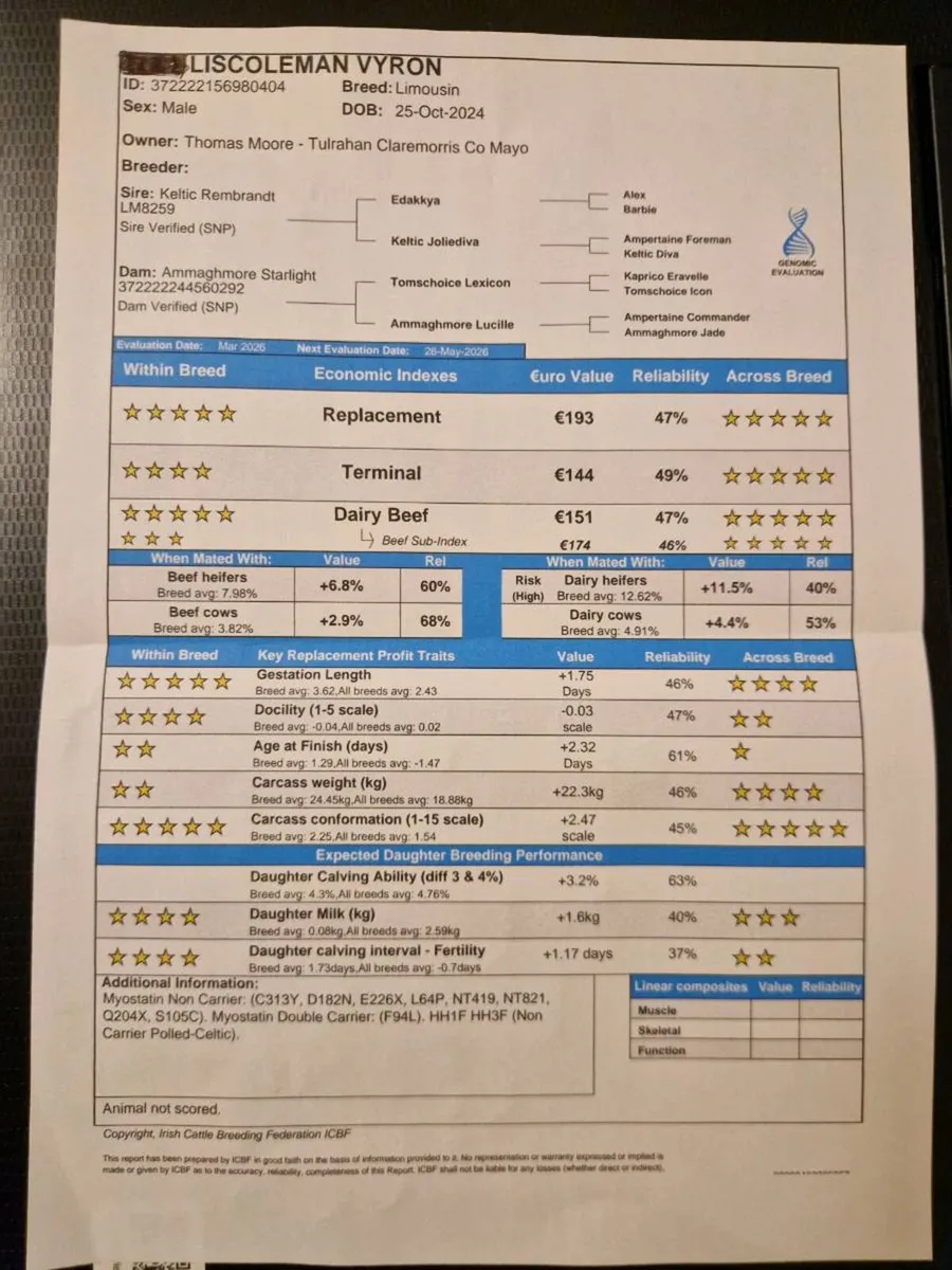 🌟3 Exceptional Bulls for Ballina on 14th April 🌟 - Image 4