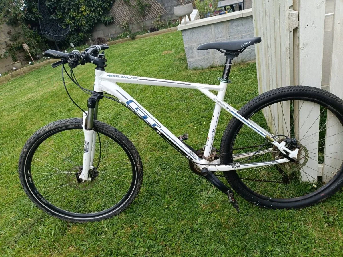Mountain bike - Image 1
