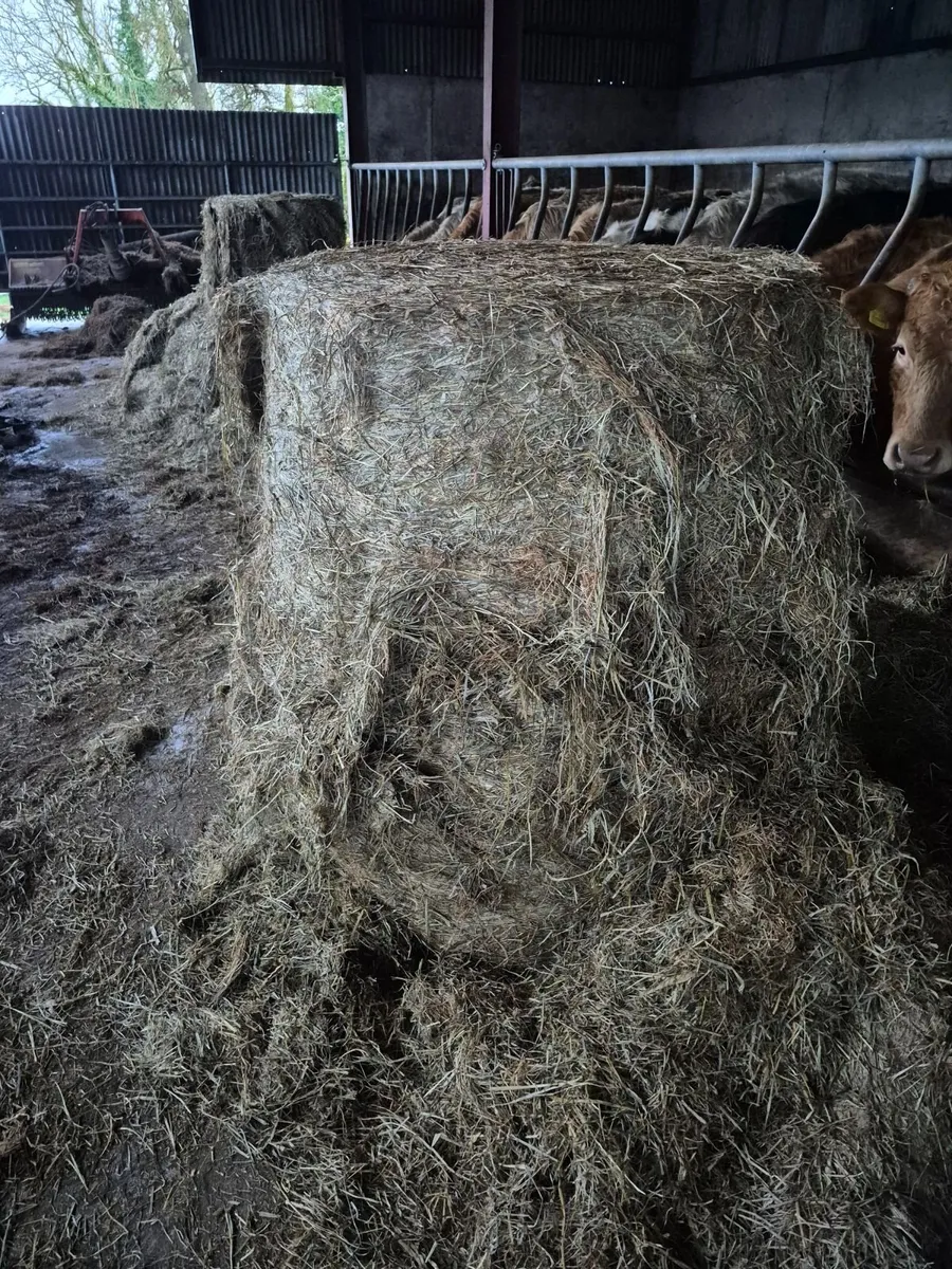Round Bales - Image 1