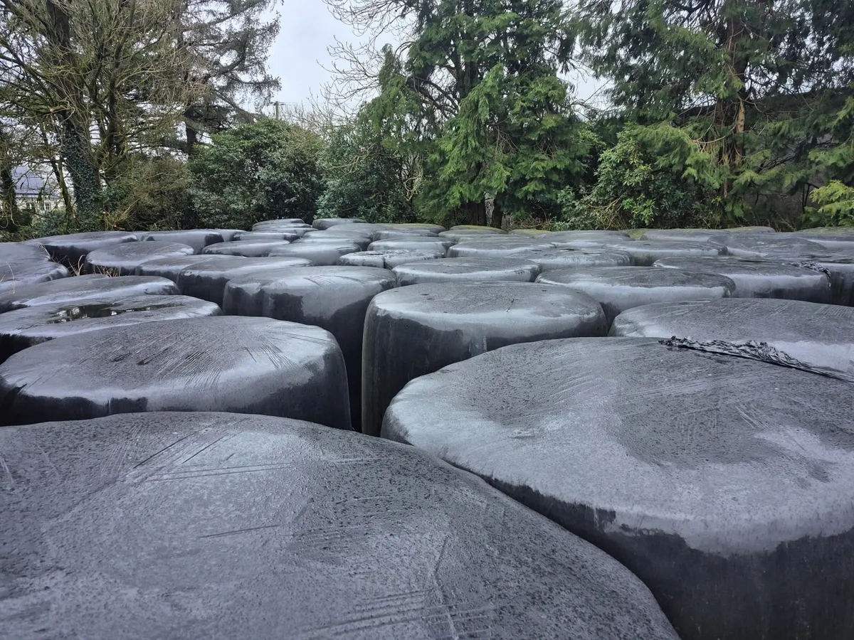 Round Bales - Image 2