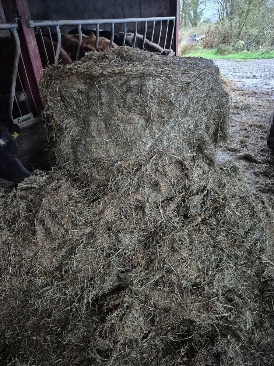 Round Bales - Image 4