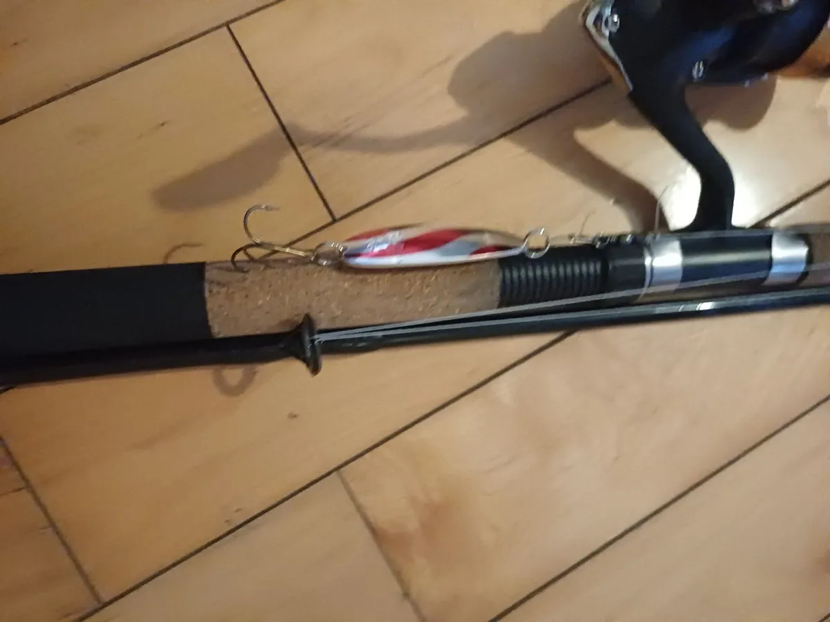 Sillstar cross-wonder spin 30 x-performance Rod - Image 1