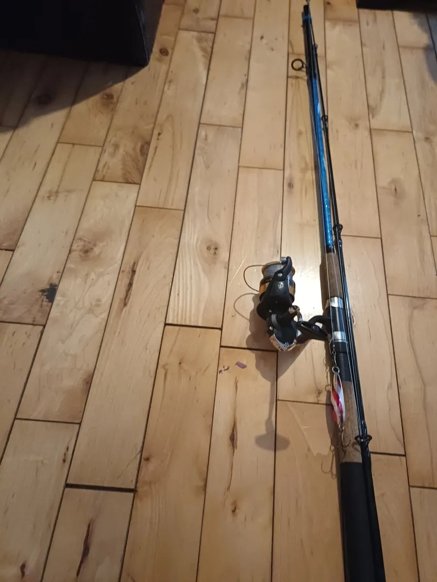 Sillstar cross-wonder spin 30 x-performance Rod - Image 4