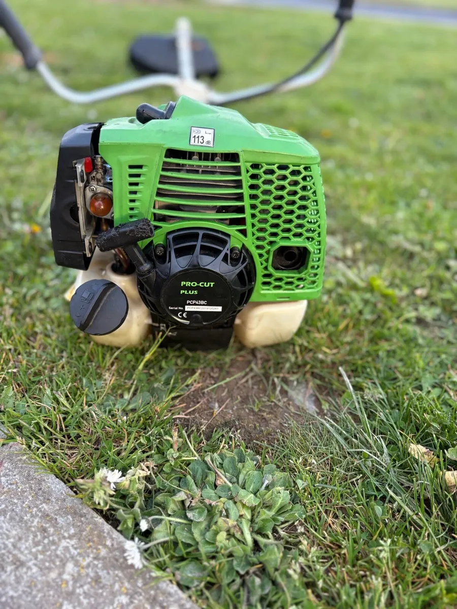 Pro cut Strimmers - Image 2