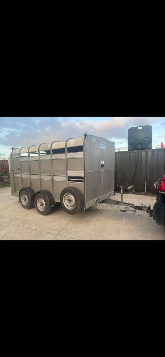 Selection of Ifor Williams 12x6 Livestock Trailers - Image 1