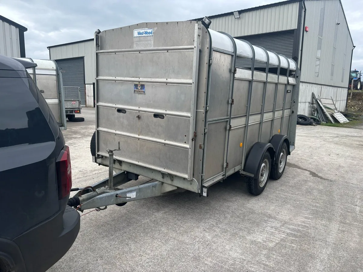 Selection of Ifor Williams 12x6 Livestock Trailers - Image 3