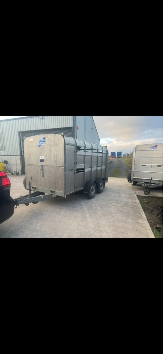 Selection of Ifor Williams 12x6 Livestock Trailers - Image 4