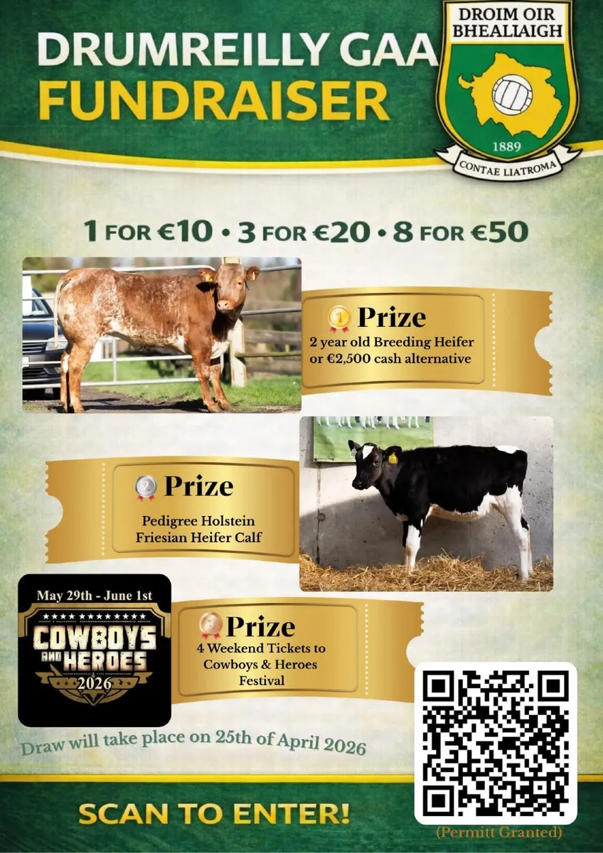 Win a roan breeding heifer, 4 DAYS TO GO - Image 4