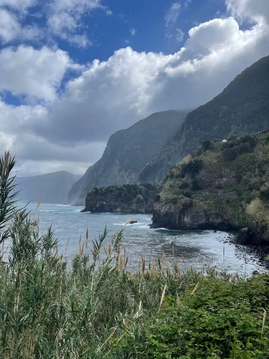 Madeira 7 nights for 2 pax, Flight + Hotel, 16 Apr - Image 4