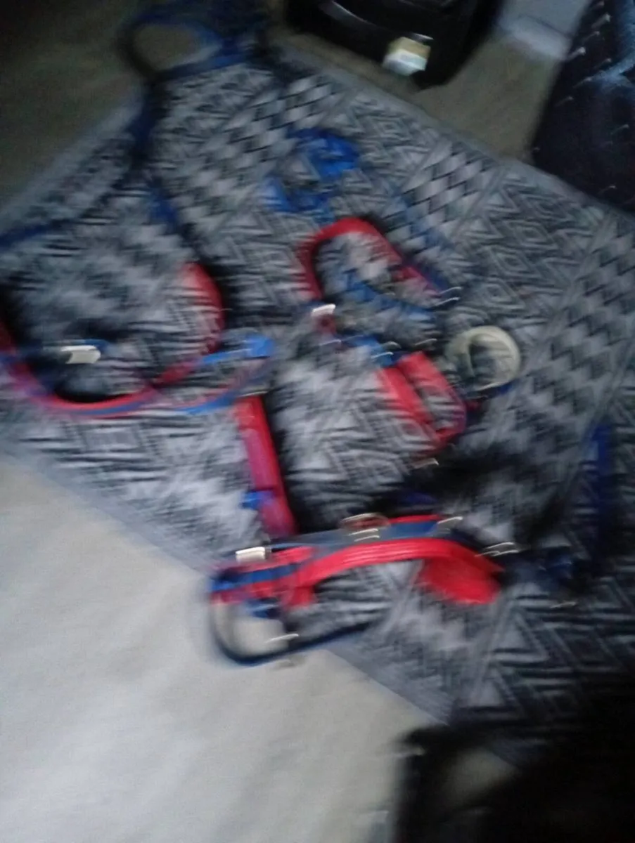 Shenland pony harness - Image 2