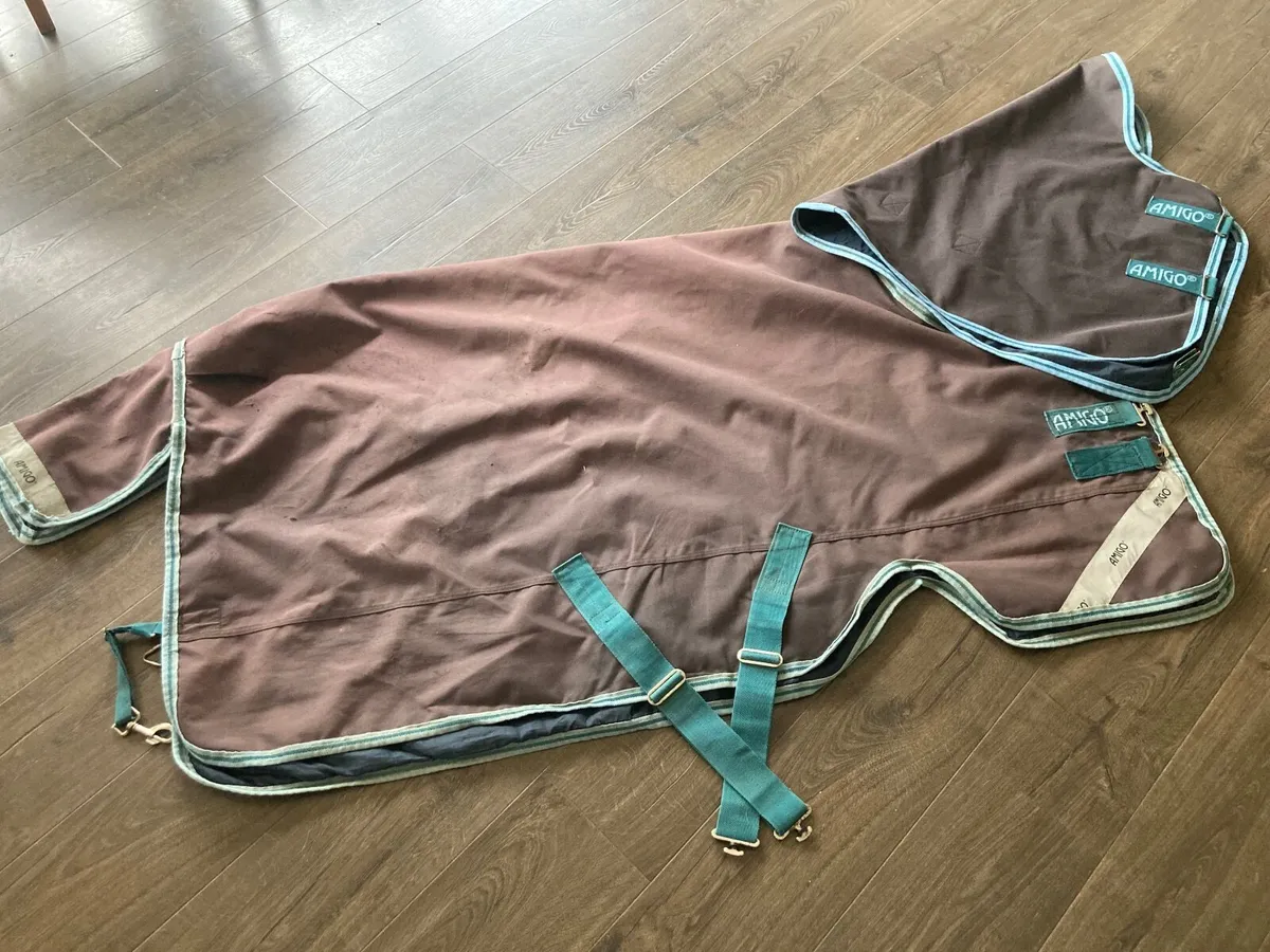 Amigo Bravo 12 Pony Plus  turnout rug - Image 2