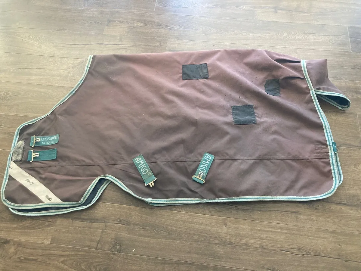Amigo Bravo 12 Pony Plus  turnout rug - Image 3
