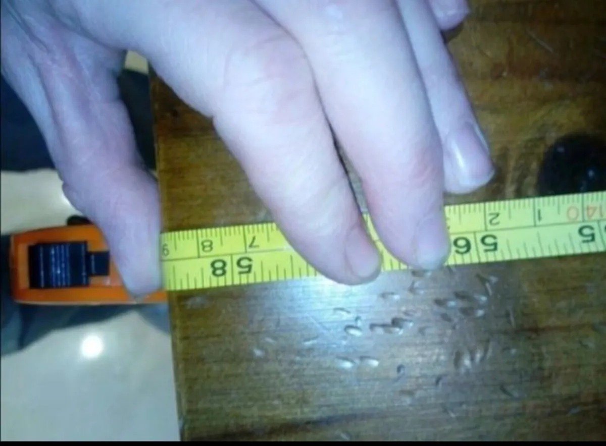 Square table - Image 2