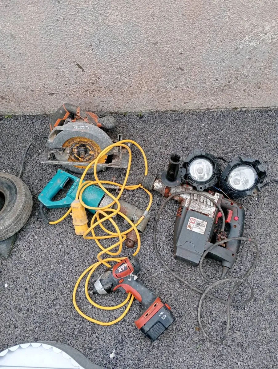 Shed/Garden clearance - Image 3