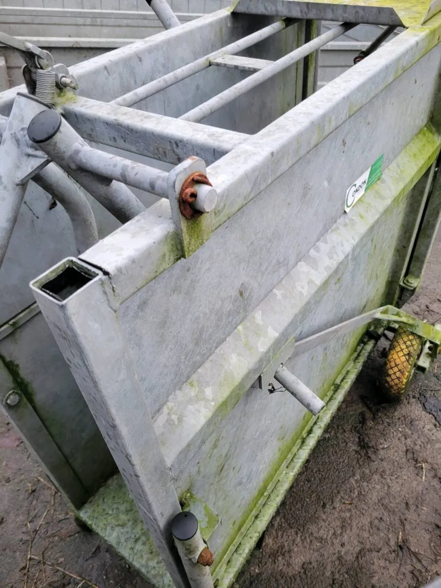 Condon calf dehornig crate - Image 2