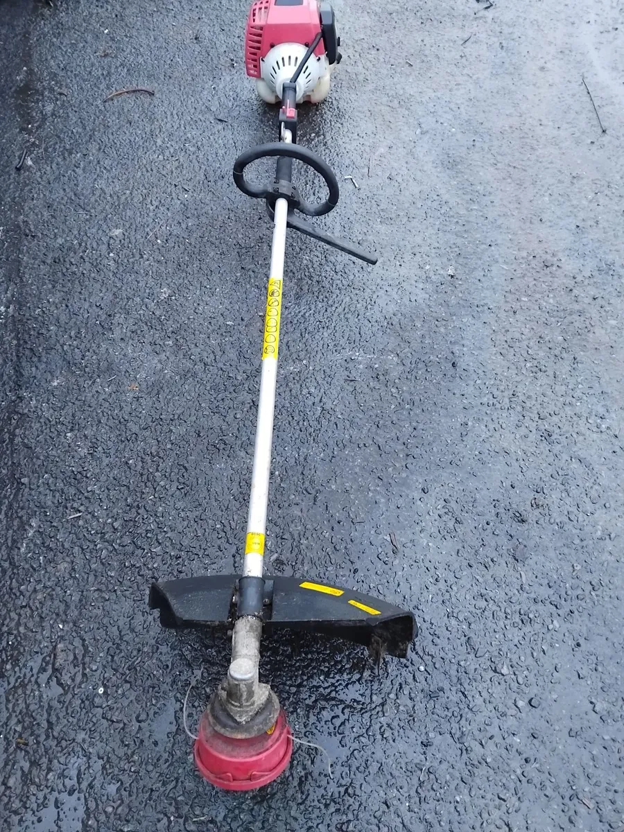 Grass strummers running 💯 priced - Image 4