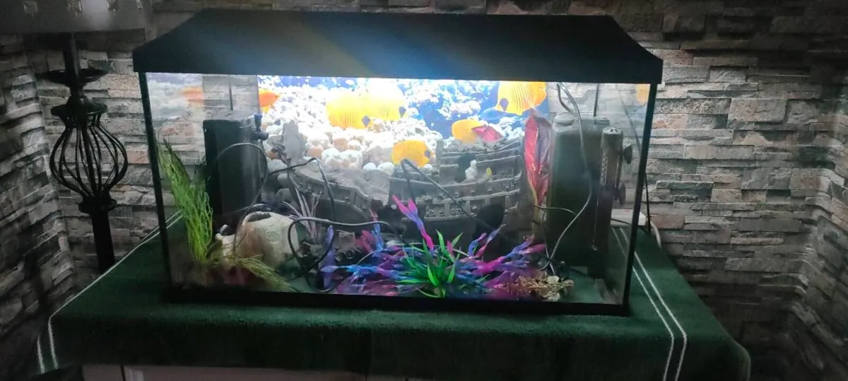 Fishtank - Image 1