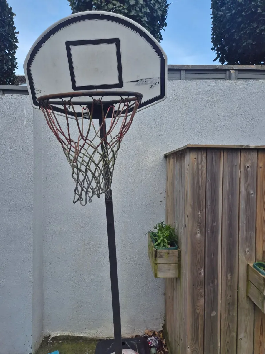 Free basketball hoop