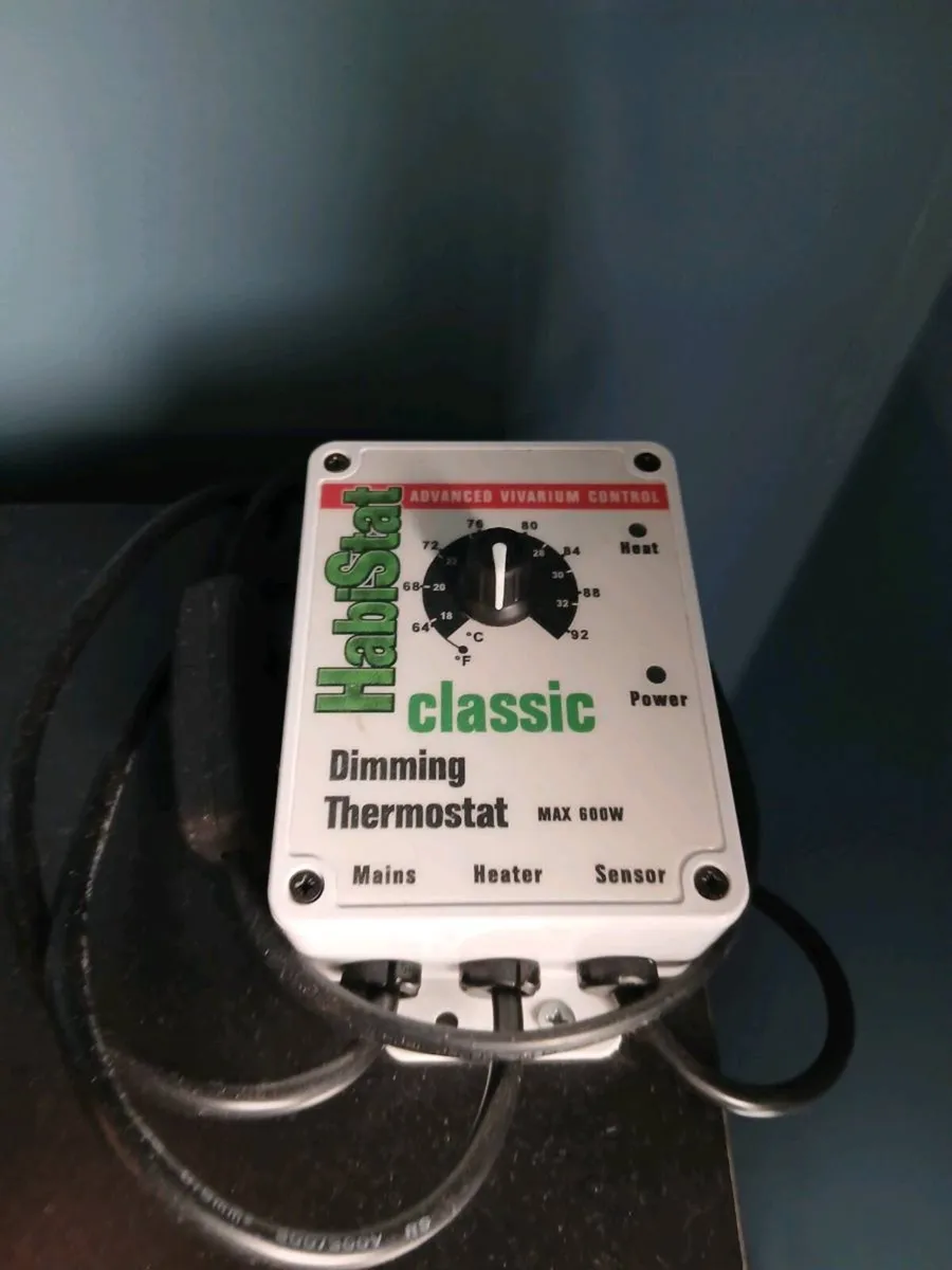 Reptile Vivarium - Image 4