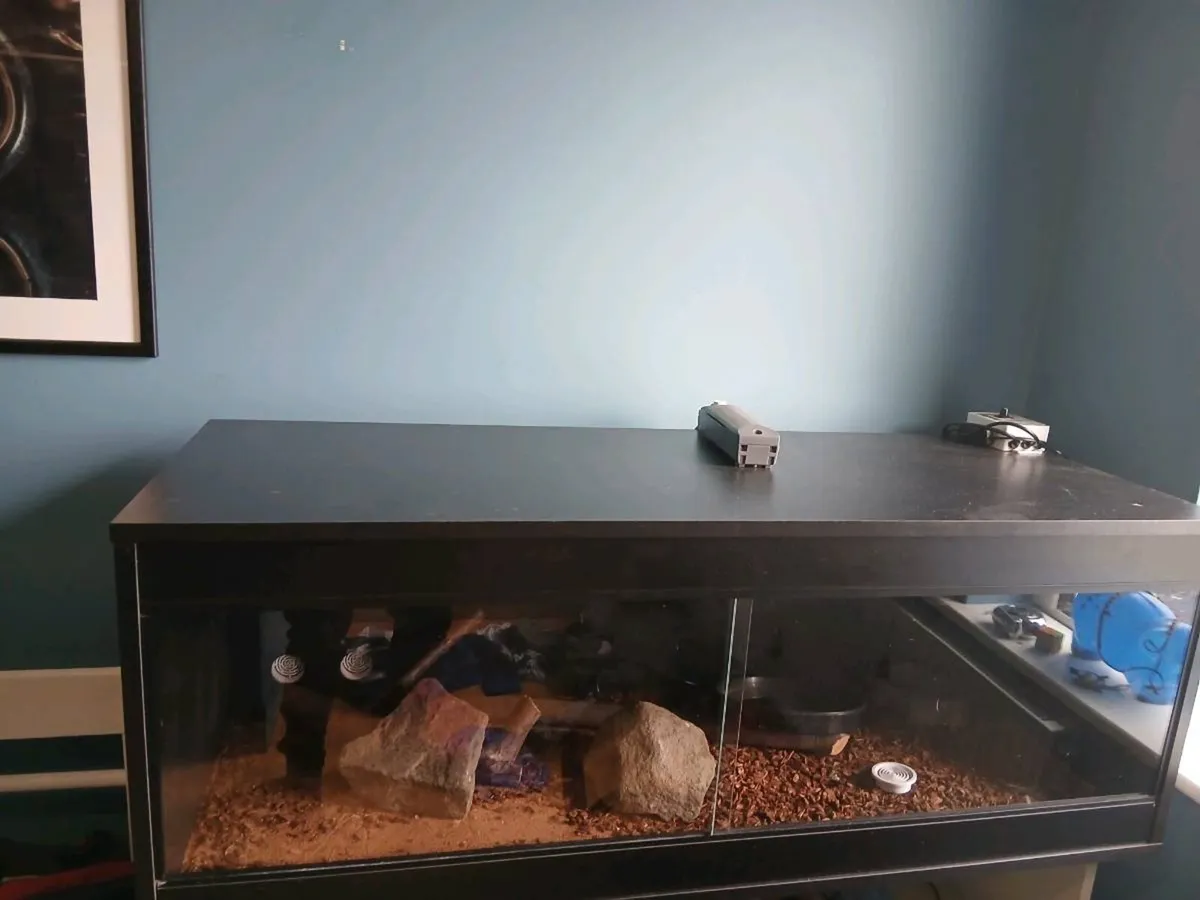 Reptile Vivarium - Image 1