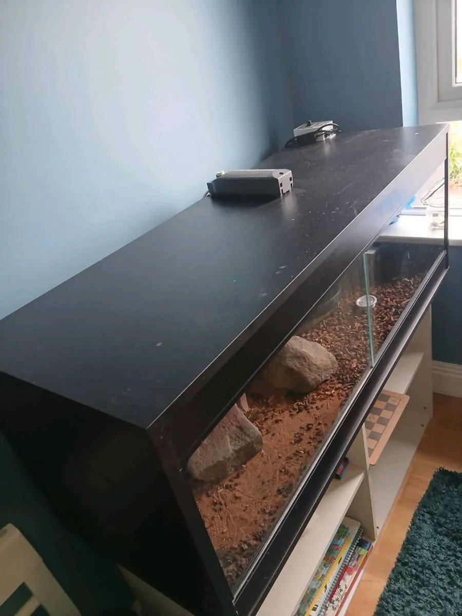 Reptile Vivarium - Image 2