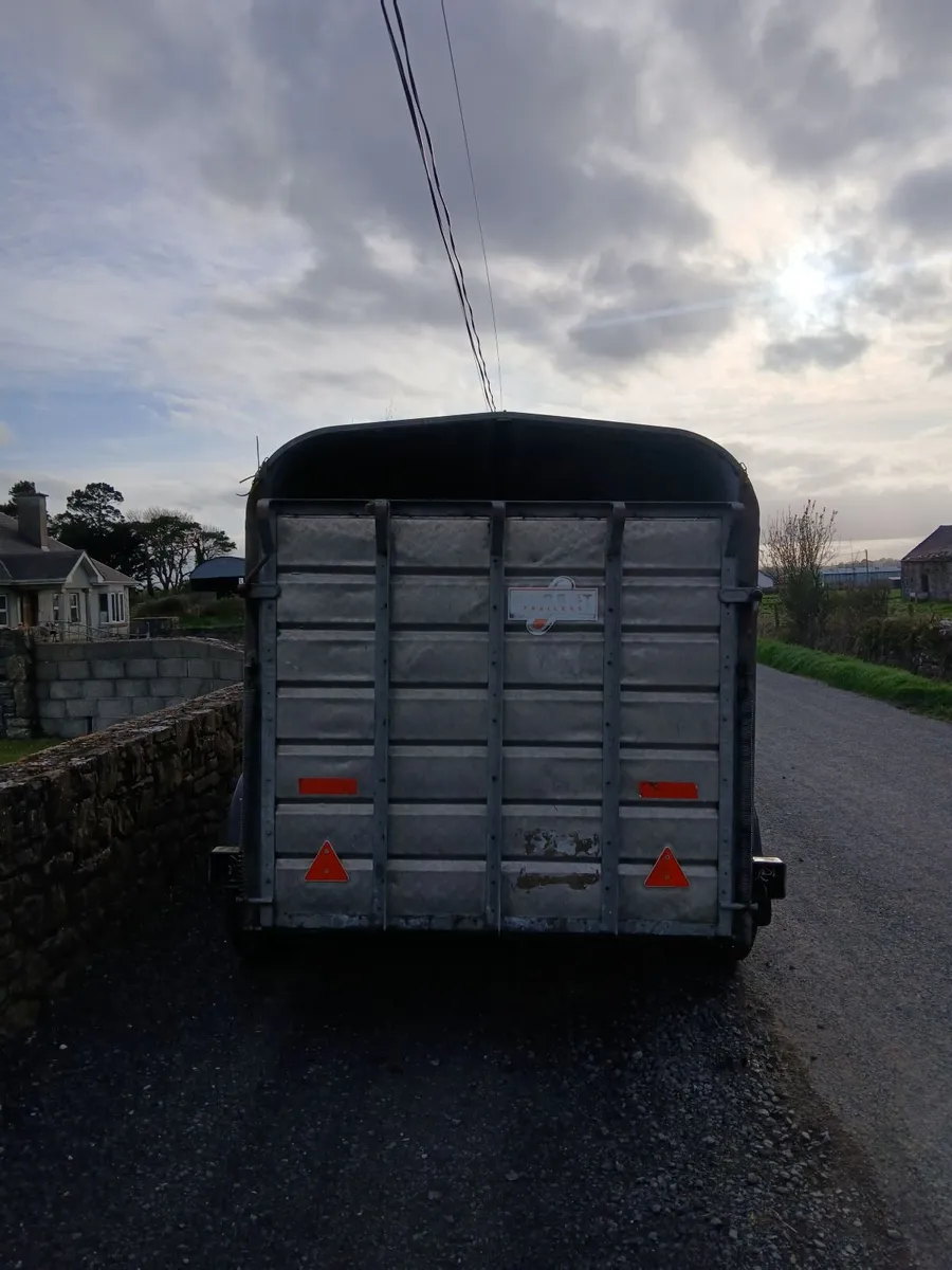 Cattle trailer - Image 2