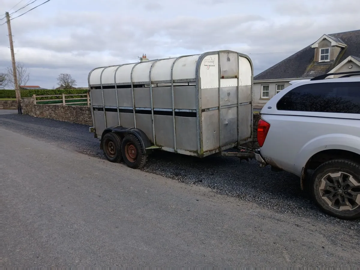 Cattle trailer - Image 3