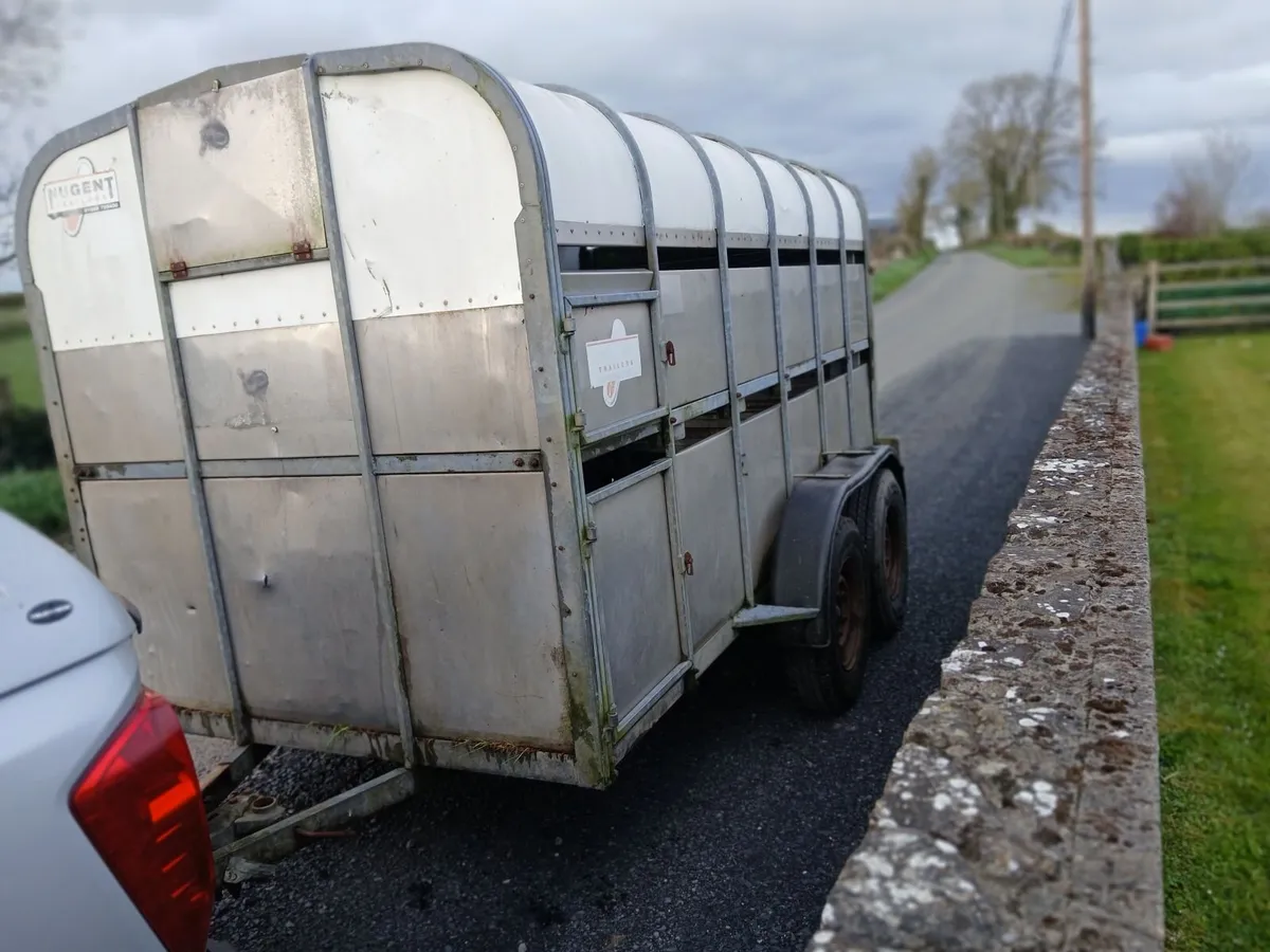 Cattle trailer - Image 4