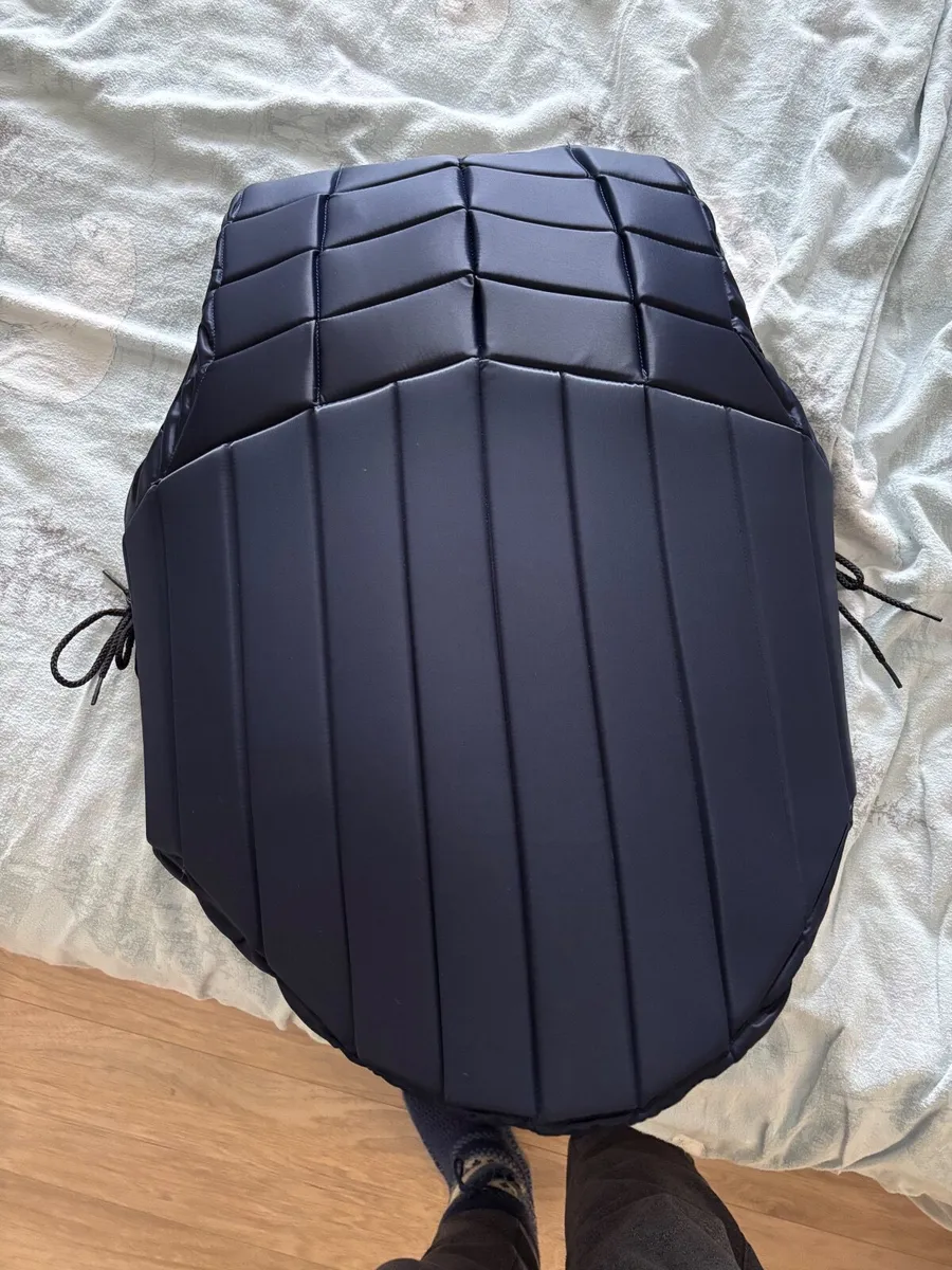 RS 2010 Body protector - Image 2