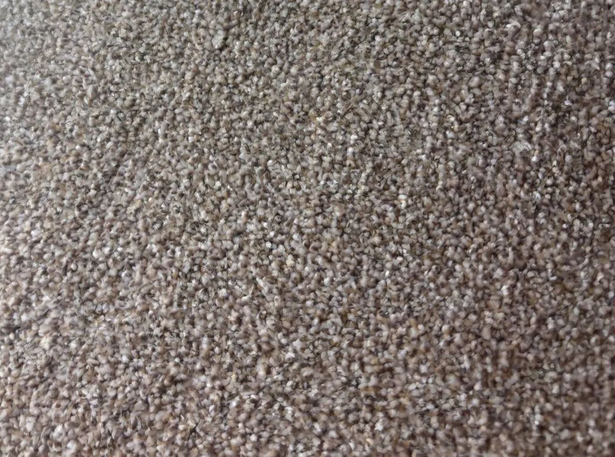 Carpet sale now on high density