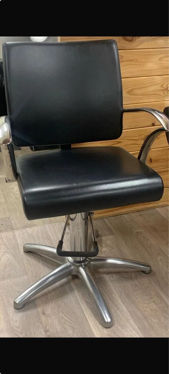Salon Chairs - Image 2