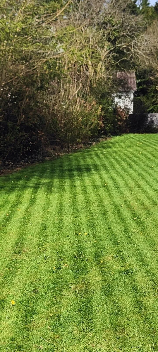 Dreame AI robot lawnmower - Image 1