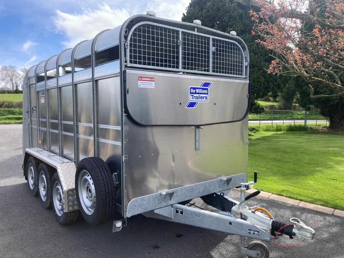New Ifor Williams TA510-12 Tri Trailer AVAILABLE - Image 2