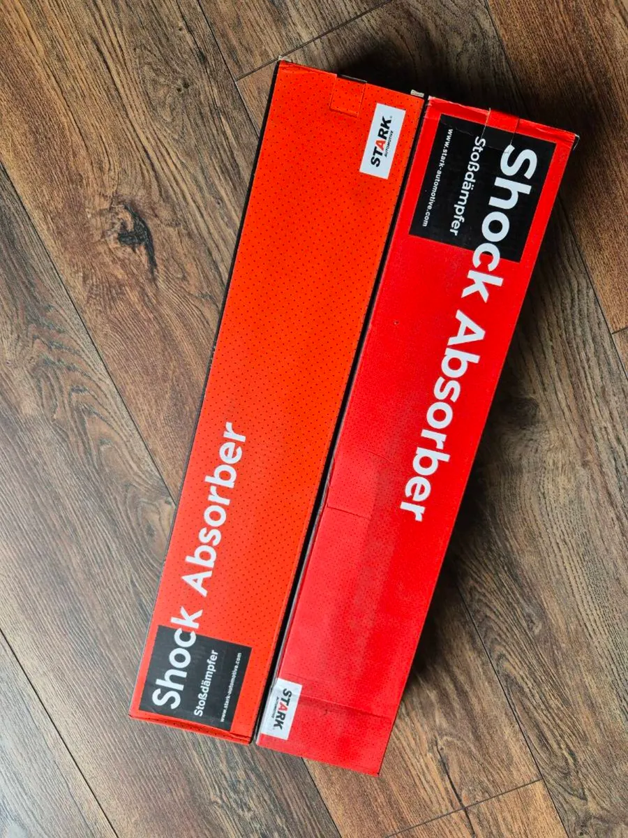 Renault rear shock absorbers - Image 1