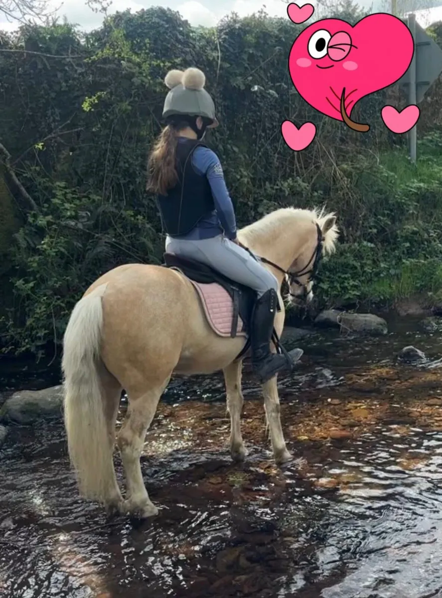 ***Full Livery*** - Image 4