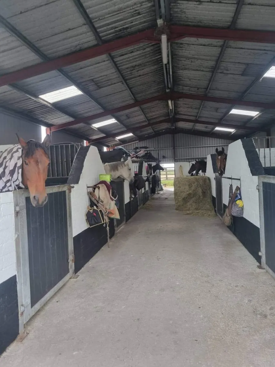 ***Full Livery*** - Image 1