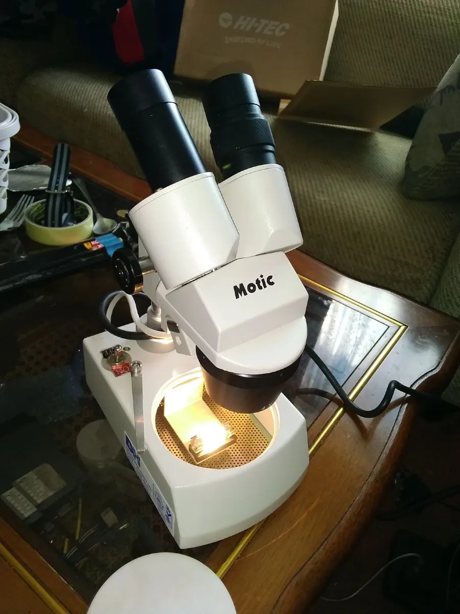 Motic professional stereo microscope - Image 1