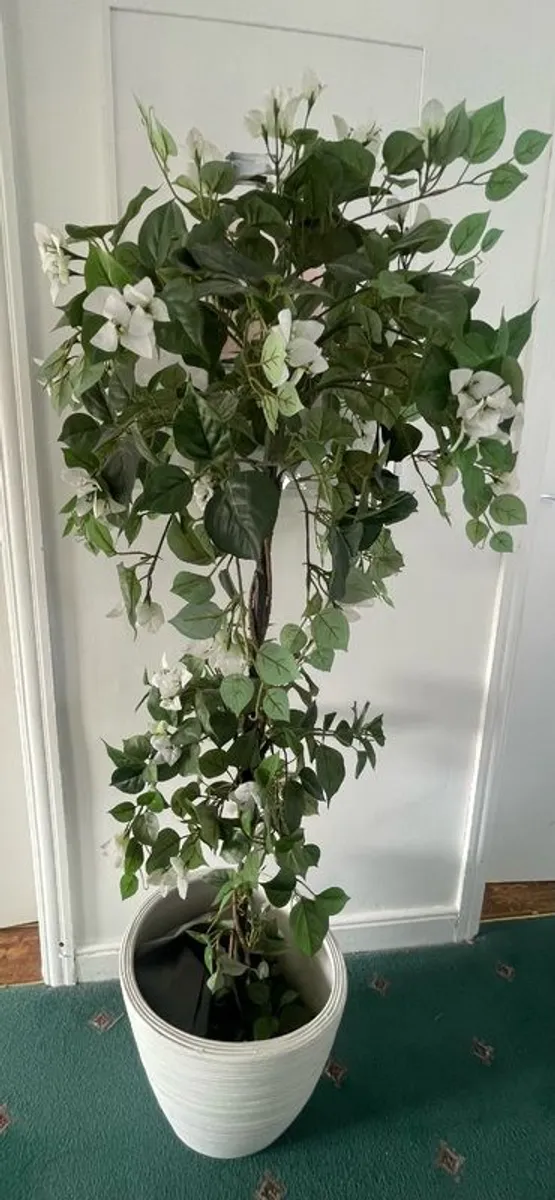 Plant / Tree Faux - Image 1