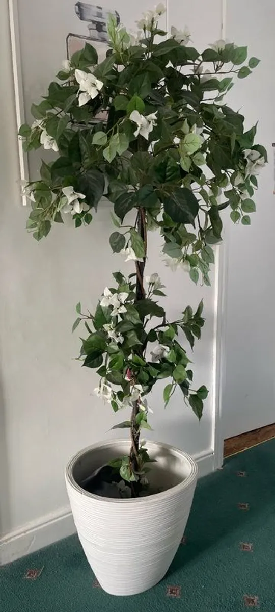 Plant / Tree Faux - Image 2