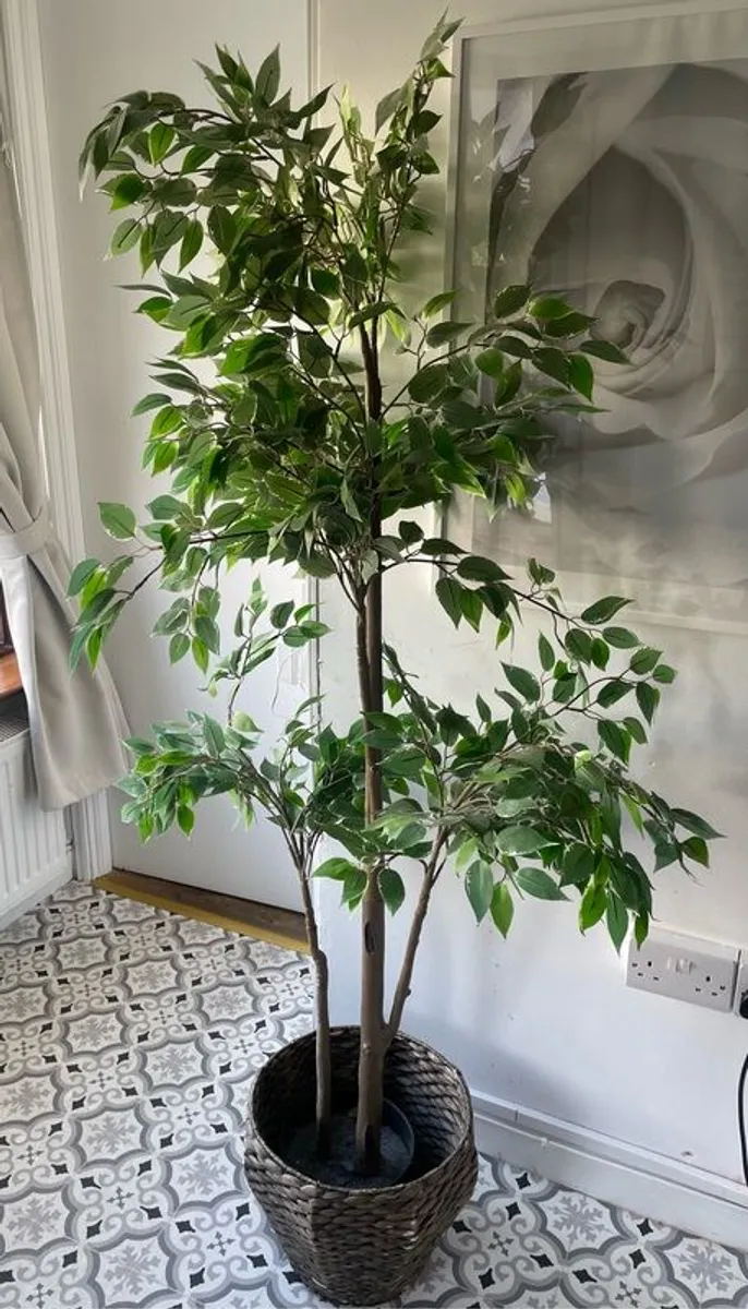 Plant / Tree Faux - Image 2