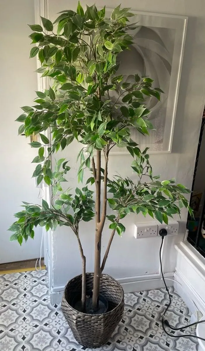 Plant / Tree Faux - Image 1