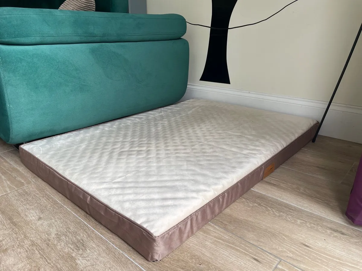 WAVVE Large Dog Bed