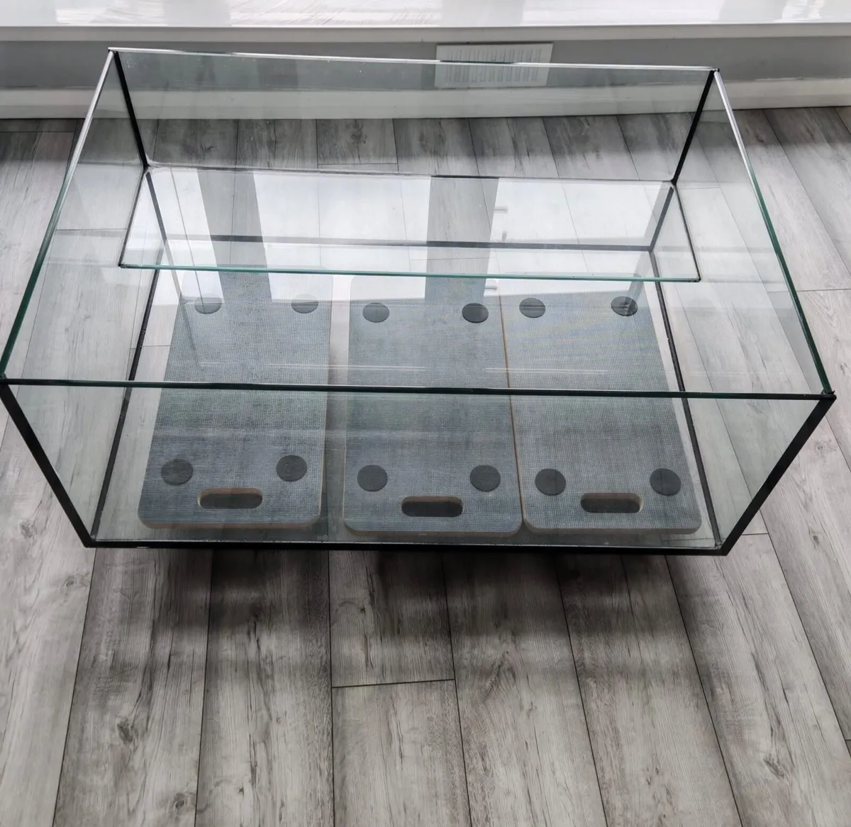 Turtle Tank - Image 1