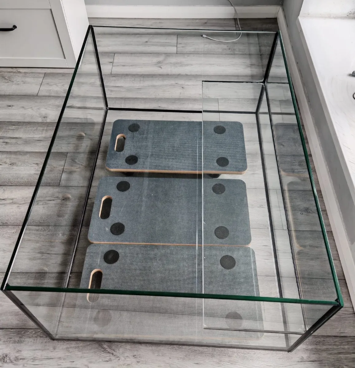 Turtle Tank - Image 2