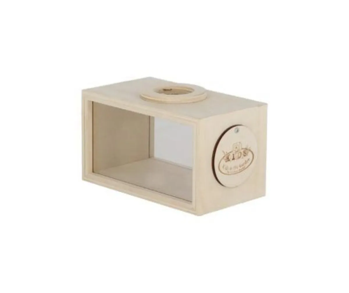 Childrens Wooden Insect Studying Box