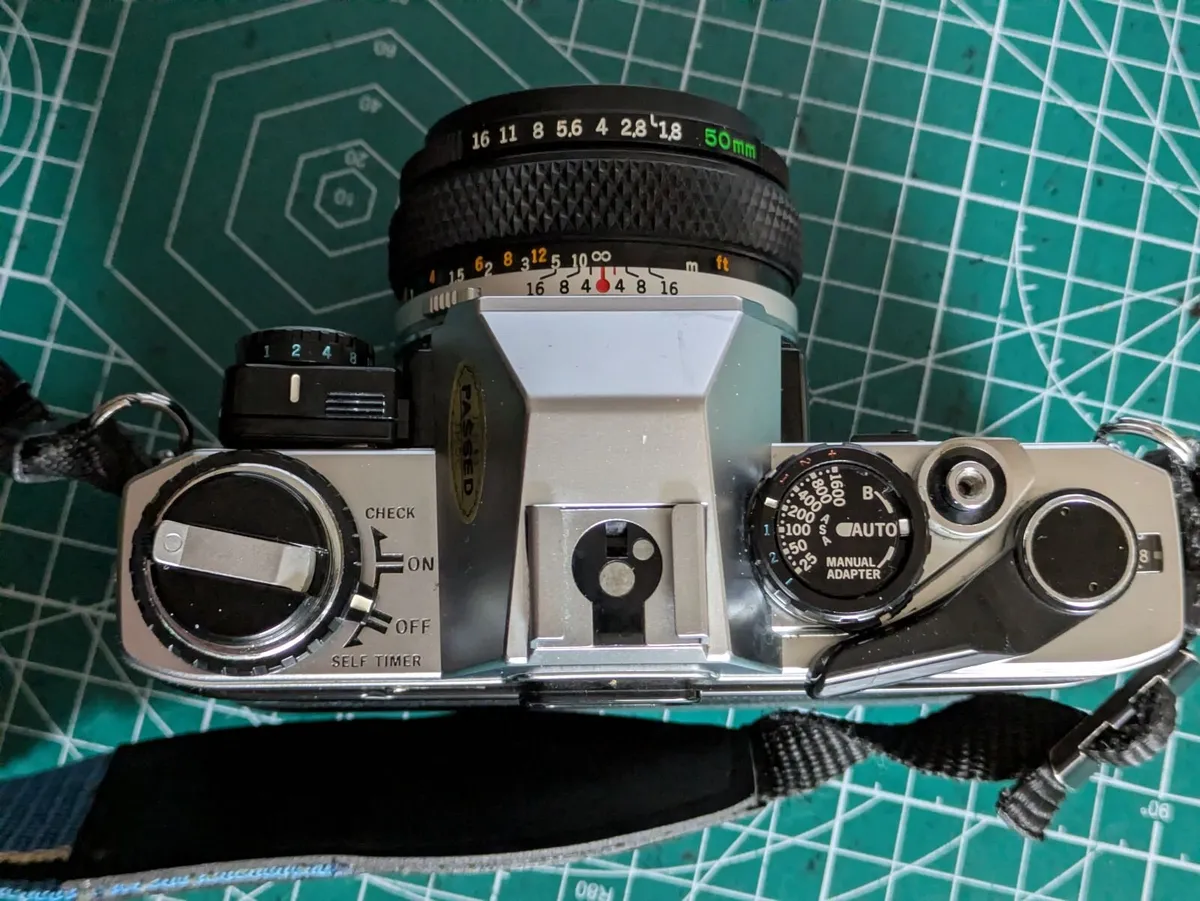 🎞️ Olympus OM10 - Image 2