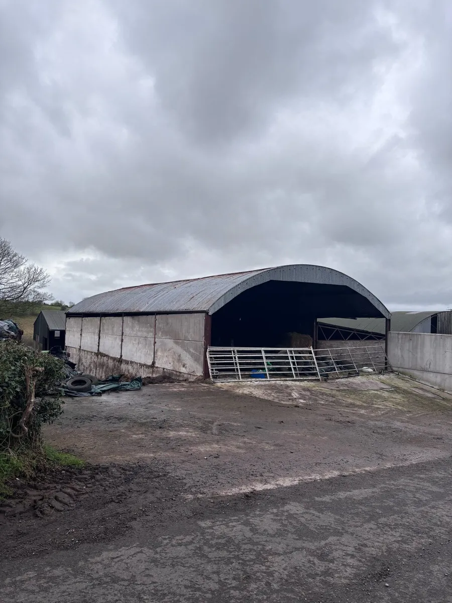 Wagon roof - Image 4