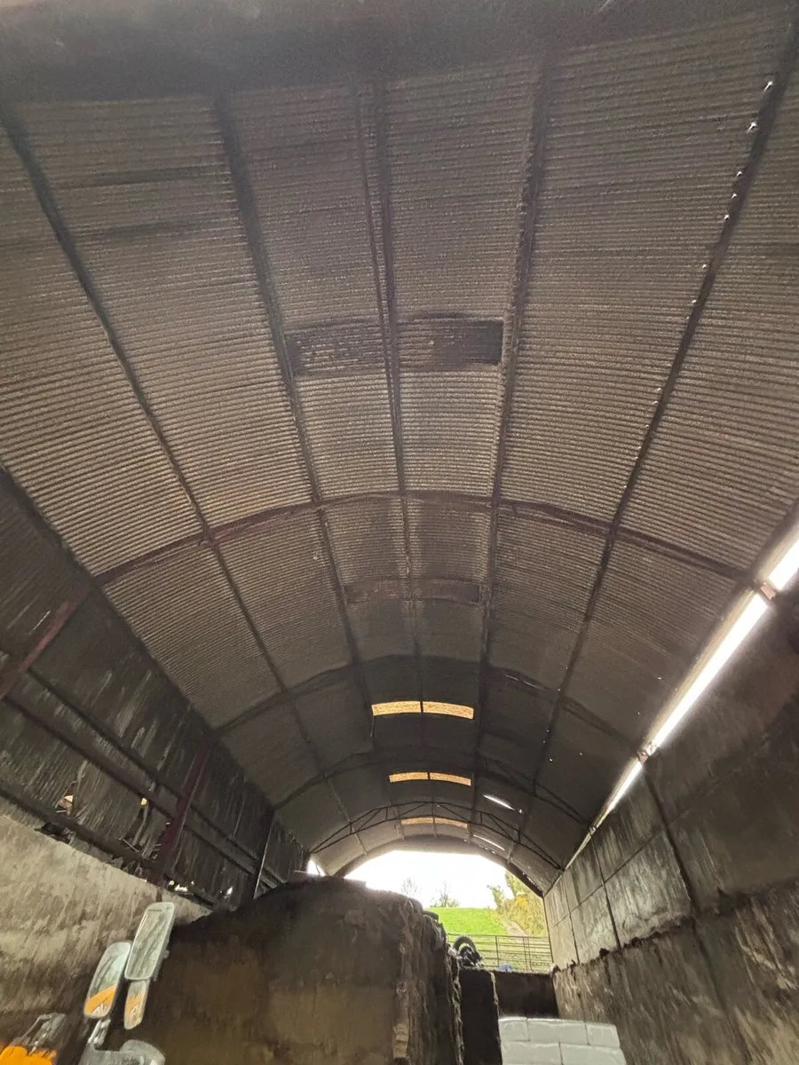 Wagon roof - Image 2