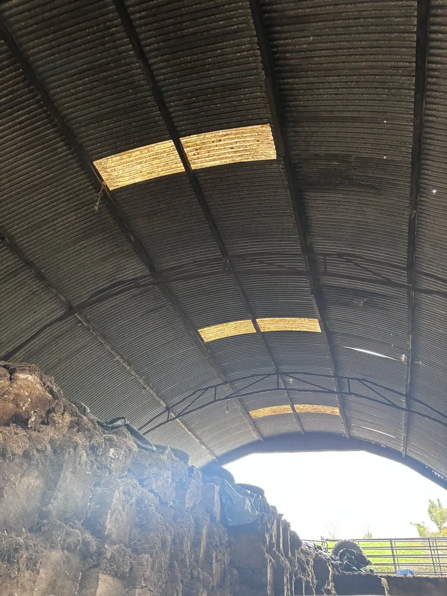 Wagon roof - Image 3